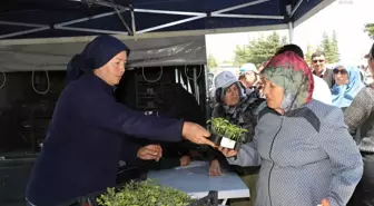 EBB Yerel Tohum Merkezi'nden elde edilen sebze fideleri Hıdırellez Şenlikleri'nde dağıtıldı