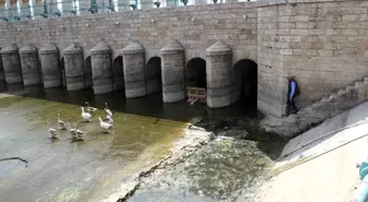 Köprü önüne ve regülatör gözleri içinde kuluçkaya yatan Meke ve kazlar ilgi odağı oldu