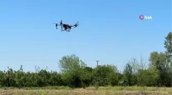 Çeltikler Düzce'de dron ile dikilecek