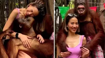 Hayvanat bahçesine giden genç turist orangutanın yaptıklarıyla şaşkına döndü