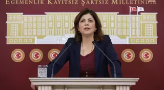 HDP'li Danış Beştaş'tan Bakan Yanık'a tepki: İktidarın provokasyonlarına geçit vermeyelim