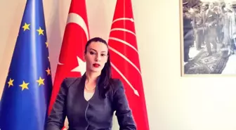 CHP Avrupa Birliği Temsilcisi Kader Sevinç'ten 9 Mayıs açıklaması