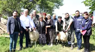 Başkan Çerçioğlu'ndan koyunları telef olan üretici kadına destek