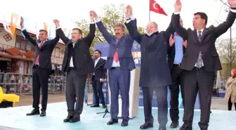 AK Parti Hınıs'ta miting düzenledi