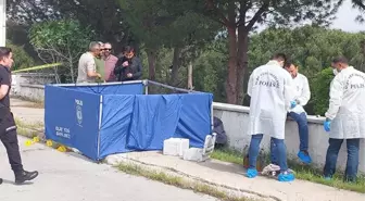 Muğla'da garsonluk yapan kadın pompalı tüfekle öldürüldü! Katil, aracın döşemelerini değiştirirken yakalandı