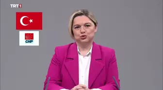 Selin Sayek Böke: 'Nasıl Bir Ülkede Yaşamak İstiyoruz; Her Gün Ekranlarda Hakarete Uğradığımız Bir Ülke Mi, Yoksa Herkesin Kucaklaştığı Bir Ülke mi...