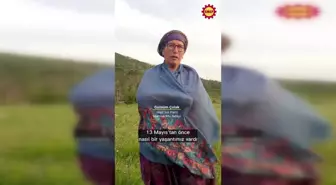 Soma maden faciasında oğlunu kaybeden Gülsüm Çolak: 'Canımızı çok acıttılar, hala da canım acıyor'