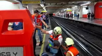 Raylara giren tavuk metro seferlerini aksattı