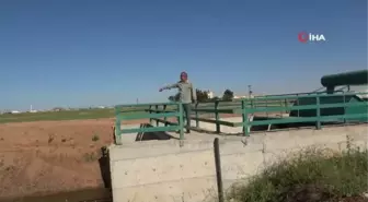 Fırat ve Dicle Nehri, başta Türkiye olmak üzere Ortadoğu'ya hayat veriyor