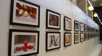 Anadolu Yakası Fotoğrafçıları, Maltepe Belediyesi'nin Ev Sahipliğinde Buluştu