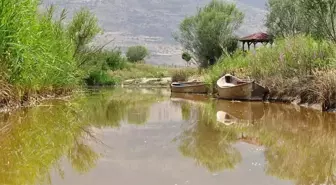 Eber Gölü nerede? Eber Gölü konumu ve özellikleri nelerdir?