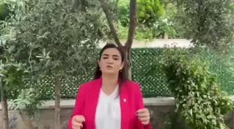 CHP İzmir Milletvekili Sevda Erdan Kılıç'tan ikinci tur çağrısı