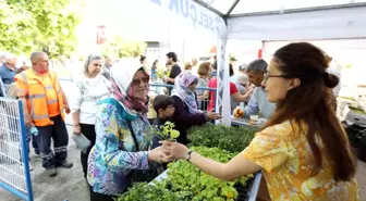 Selçuk'ta dağıtılan fidelerle sofralar bereketlenecek