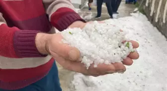 Dolu yağışı Erzincan'da yolları beyaza bürüdü