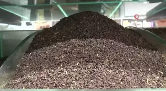 Yaz nezlesine zencefil çözümü