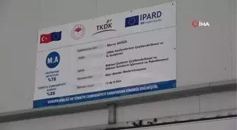 Yozgat'ta üretilen mantar, Karadeniz ve Doğu Anadolu Bölgesi'nin ihtiyacını karşılıyor