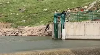 Erciş'te kaybolan engelli genç bulundu