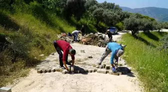 Selçuk Belediyesi üreticilere destek olmaya devam ediyor