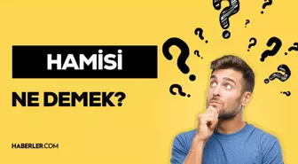 Hamisi ne demek? TDK Hamisi kelimesi anlamı ne? Hamisi nedir?