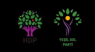 HDP meclise ne zaman girdi? HDP kaç milletvekili ile meclise girdi? HDP son seçimde yüzde kaç oy aldı?