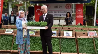 100 bin adet yerli ve milli çeşit sebze fidesi toprakla buluştu