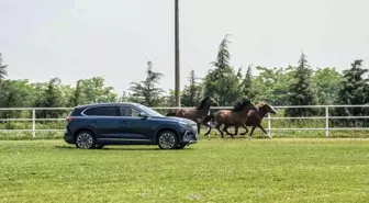 Togg, TİGEM Karacabey Harası'nda şampiyon atlarla yarıştı