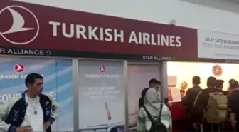 Kanadına kuş çarpan THY uçağının seferi iptal edildi