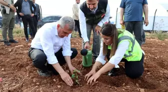 Şanlıurfa'da 1 Milyon İsot Fidesi Toprakla Buluştu