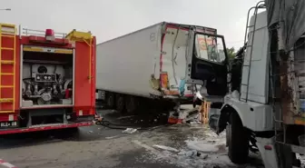 Denizli'de yavru köpek için yola atlayan yaya tır çarpması sonucu hayatını kaybetti