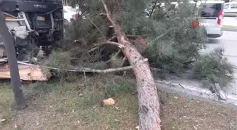 Samsun'da işçi servisi kazası: 9 yaralı ve bir karga yavrusu