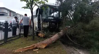 Samsun'da işçi servisi ağaca çarptı: 9 yaralı