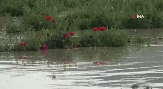 Muş'ta sel felaketinin yaraları sarılıyor