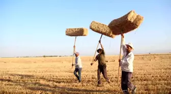 Depremin Vurduğu Hatay'da Buğday Hasadının Ardından Balya Mesaisi Başladı