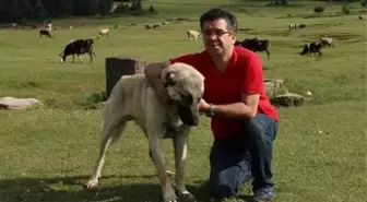 TRT İç Yapımlar çalışanı Ali Göktaş, yaşamını yitirdi