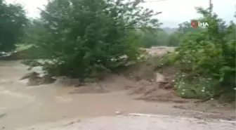 Sakarya Nehri Taştı, Söğüt-İnhisar Karayolu Trafiğe Kapandı