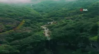 Paşaca Şelalesi Kartpostallık Görüntüleriyle Ziyaretçilerini Büyülüyor