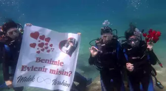 Deniz Altında Sürpriz Evlilik Teklifi