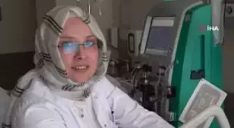 Mantar deyip geçmeyin: Ölüme götürebilir