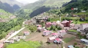 Trabzon'dan dünyaya açılan lezzet: Hamsiköy sütlacı