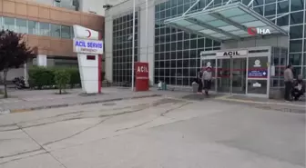 11 yaşındaki çocuk ayı saldırısı sonucu ağır yaralandı