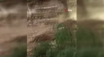Amasya'da çam ağaçlarıyla kaplı alanda heyelan meydana geldi