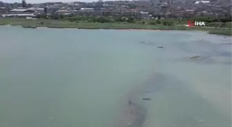 Dünya Çevre Günü'nde Tonlarca Atık Toplandı