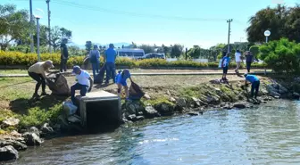 Fethiye'de Dünya Çevre Günü etkinliği: Kuş Cenneti ve Ördek Adası'nda temizlik çalışması yapıldı