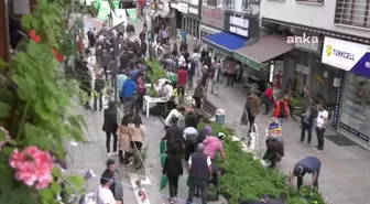 Fındıklı'da Dünya Çevre Günü'nde yüzbinlerce sebze fidesi ücretsiz dağıtıldı