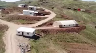 Kandil Barajı'nda İlk Alabalık Hasadı Yapıldı: Avrupa ve Rusya'ya Gönderilecek