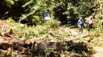 Kdz. Ereğli Belediyesi, Kastamonu'da Sel Felaketi Sonrası Bölgeye İş Makinesi ve Kamyon Desteği Sağladı