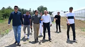 Tekirdağ'da Paşa Tarım Vadisi projesi özel sektörün dikkatini çekiyor