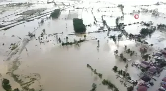 Terme'de Sel Felaketi: Hayvanlarını Kurtarmaya Çalışan Vatandaşlar Yetkililerden Yardım İstiyor