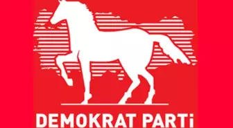 Demokrat parti ilk genel başkanı kimdir? Demokrat partinin ilk genel başkanı kim seçildi?