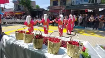 Süleymanpaşa'da Kiraz Festivali Başladı